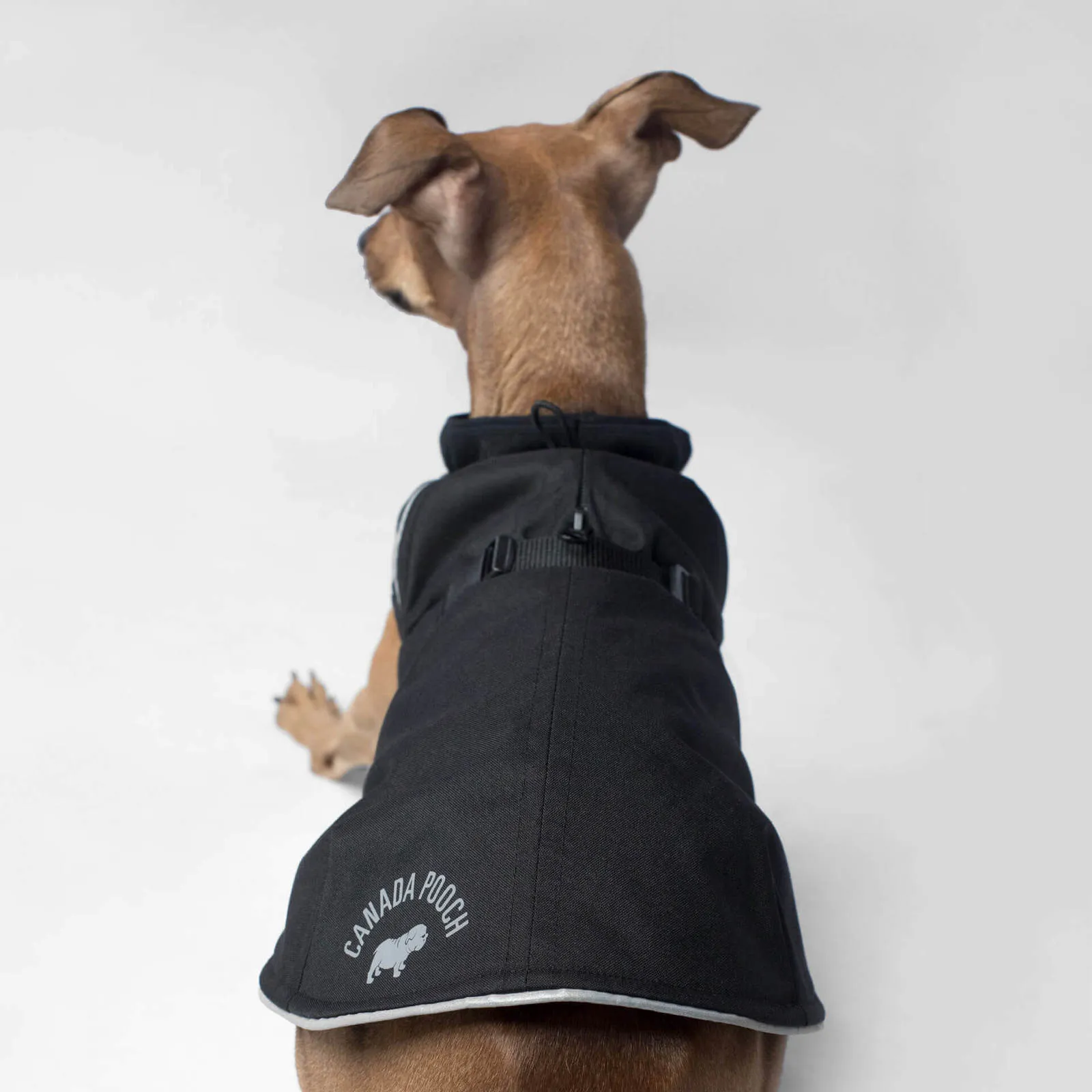 Canada Pooch - Expedition Coat - Black SALE (EXTRA 50% OFF AT CHECKOUT)
