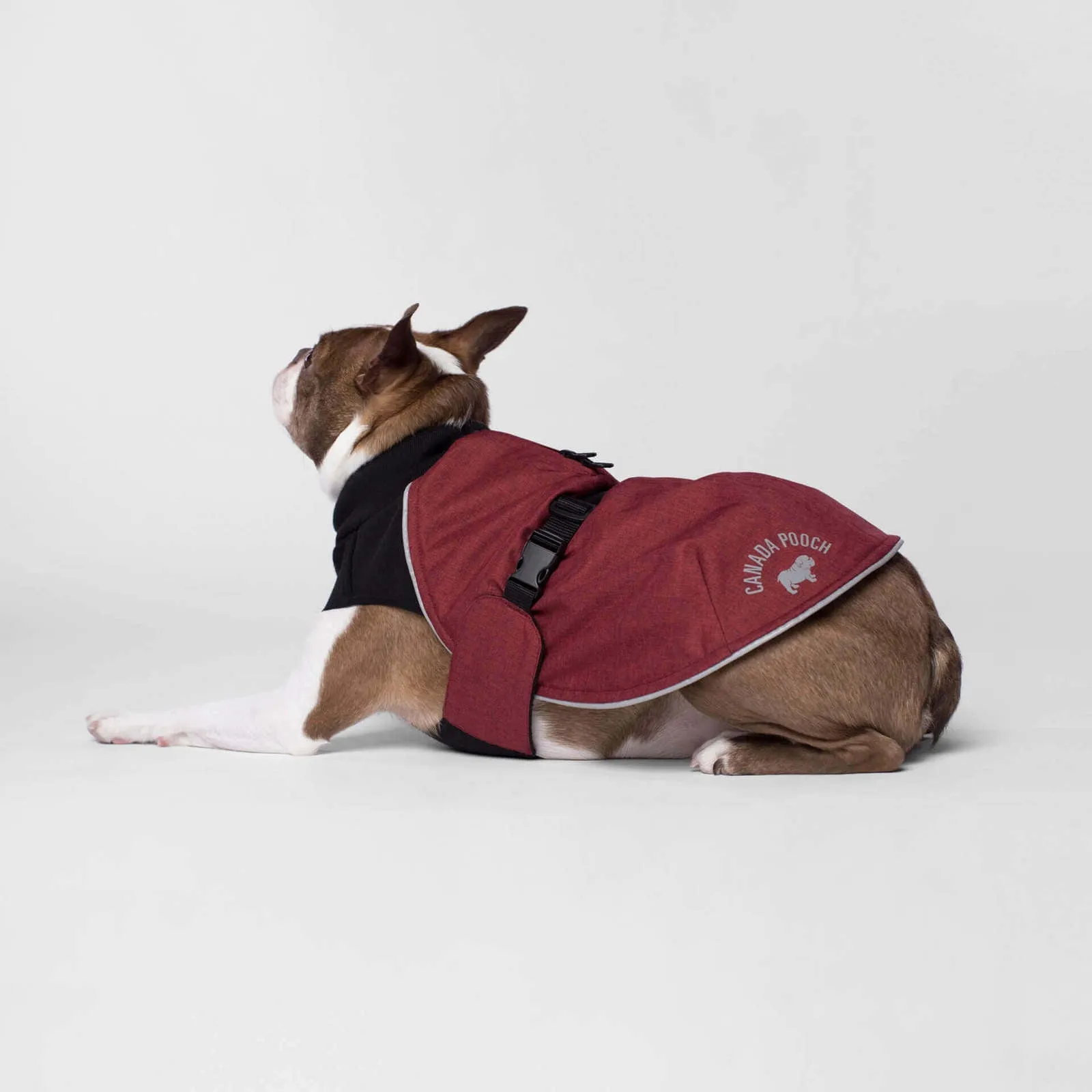 Canada Pooch Expedition Coat Red SALE (EXTRA 50% OFF AT CHECKOUT)