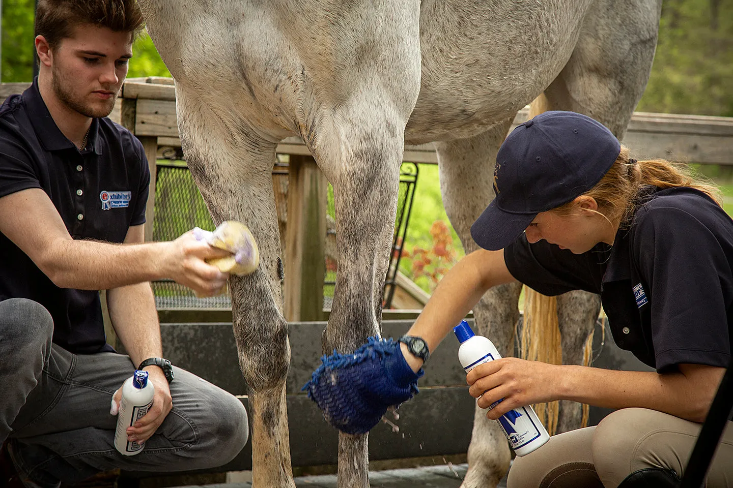 Quic Silver: Color Enhancing Equine Shampoo - 2oz. / 16oz. / 1 Gallon